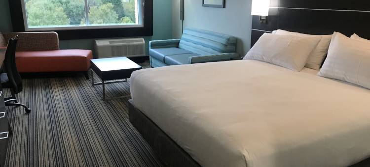 格林维尔西南智选假日套房酒店-辛普森维尔(Holiday Inn Express & Suites Greenville SE - Simpsonville)图片
