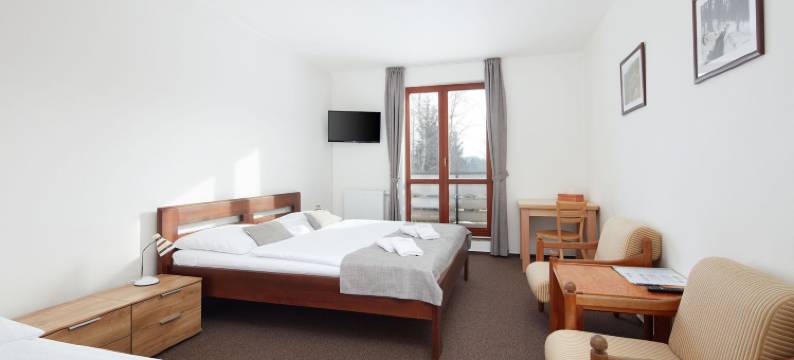 贝内茨科专业家庭酒店(ProFamily Hotel Top Benecko)图片