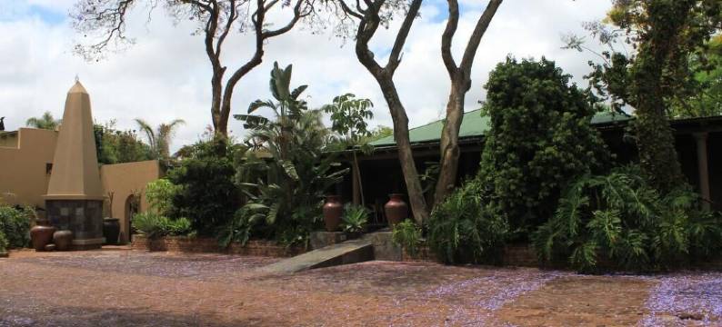 非洲之根旅馆(African Roots Guest House)图片