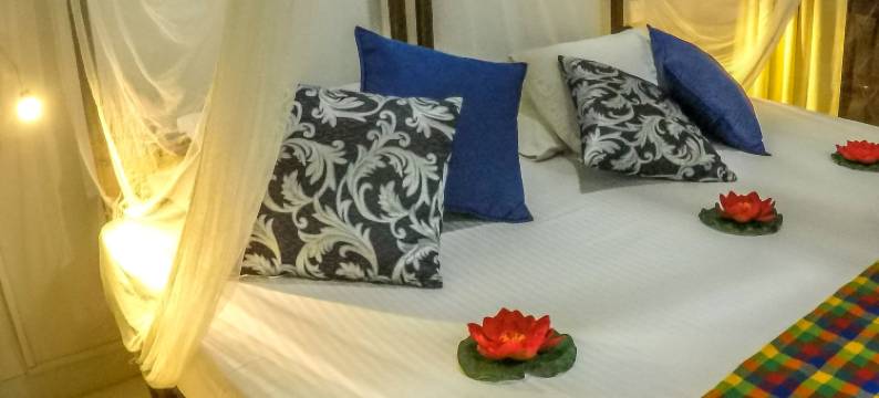 威亨纳亚克太太海滩港口旅馆(Wijenayake's - Beach Haven Guest House - Galle Fort)图片