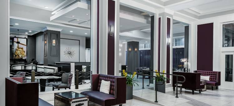 Hotel Indigo 达拉斯市中心(Hotel Indigo Dallas Downtown)图片