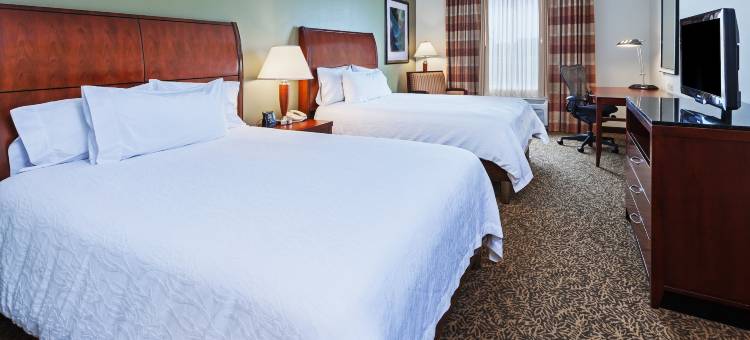 科珀斯克里斯蒂希尔顿花园酒店(Hilton Garden Inn Corpus Christi)图片