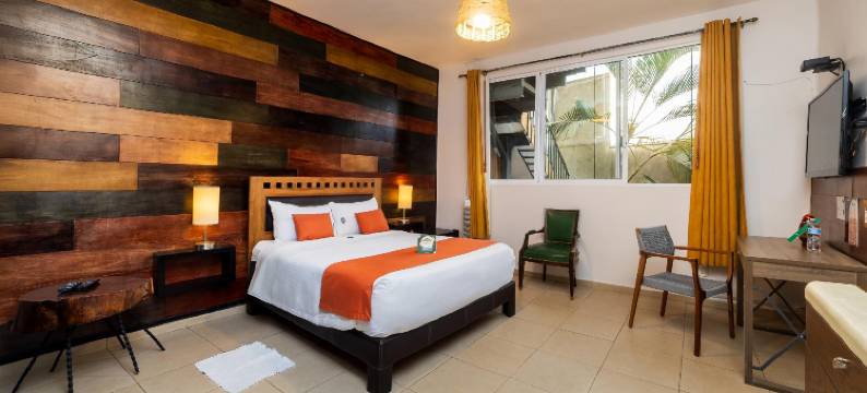 安苏雷斯之家(OYO Casa Anzures Mexico City)图片