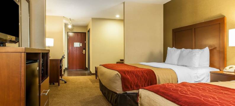 舒适酒店(Comfort Inn)图片