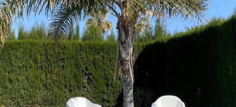 卡内特普拉亚酒店(Hotel Playa Canet)图片