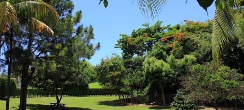 埃尔法罗酒店(Parador El Faro)图片