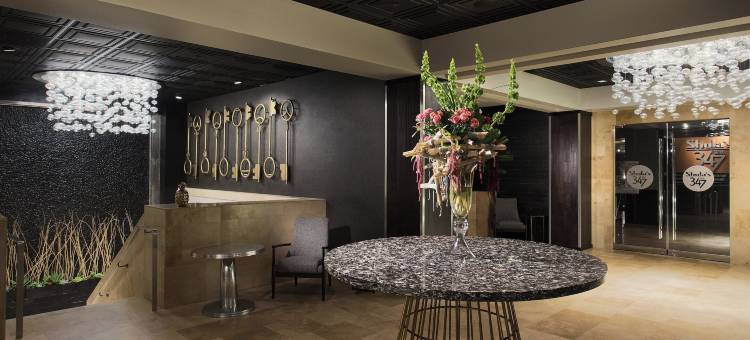 杜瓦尔傲途格精选酒店(Hotel Duval, Autograph Collection)图片