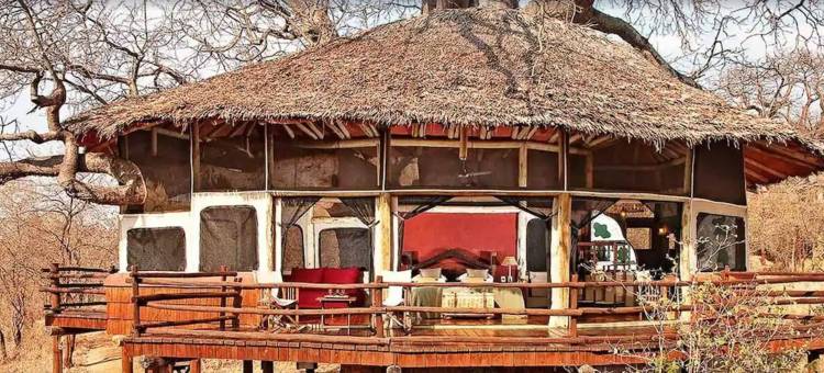 艾勒瓦纳塔兰吉尔树顶酒店(Elewana Tarangire Treetops)图片