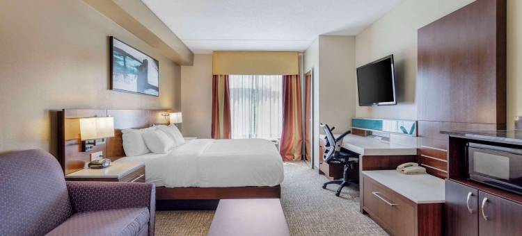 东部舒适套房酒店(Comfort Suites East)图片