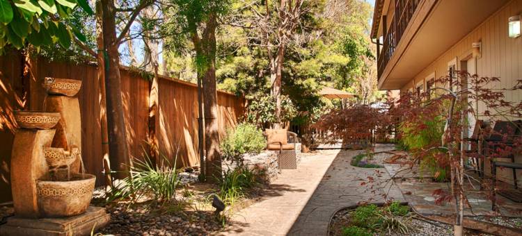 帕罗奥图禅酒店(The Zen Hotel Palo Alto)图片