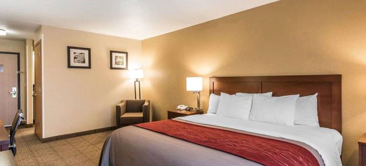 伯大尼凯艺套房酒店(Quality Inn & Suites Bethany)图片