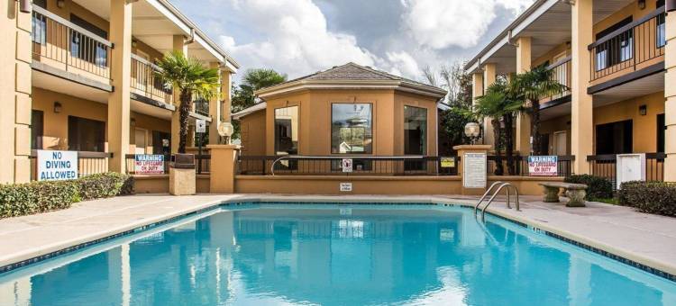 Suburban 开间 佛罗伦萨 - 达林顿(Suburban Studios Florence - Darlington)图片