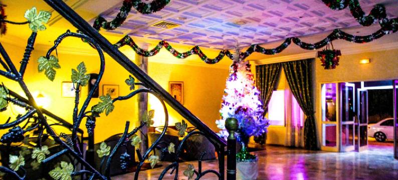 萨拉伊杰尔巴酒店(Hotel Djerba Saray)图片