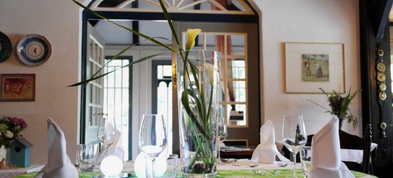 布洛尔法桑酒店(Hotel Blauer Fasan)图片