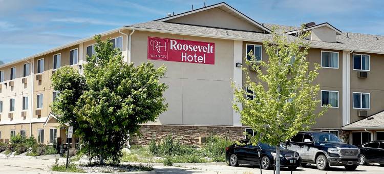 Roosevelt Hotel - Undergoing Improvements图片