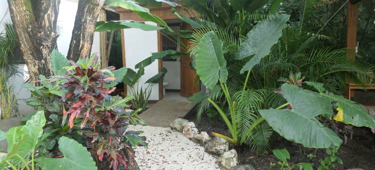 圣特雷莎梦想冲浪之家(Dream Surf House Santa Teresa (Playa Hermosa))图片