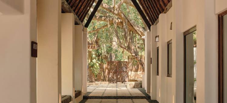 玛洛玛海滩酒店，贝梦德酒店，玛雅里维耶拉(Maroma, A Belmond Hotel, Riviera Maya)图片