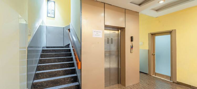 Treebo 麝香(Treebo Musk)图片