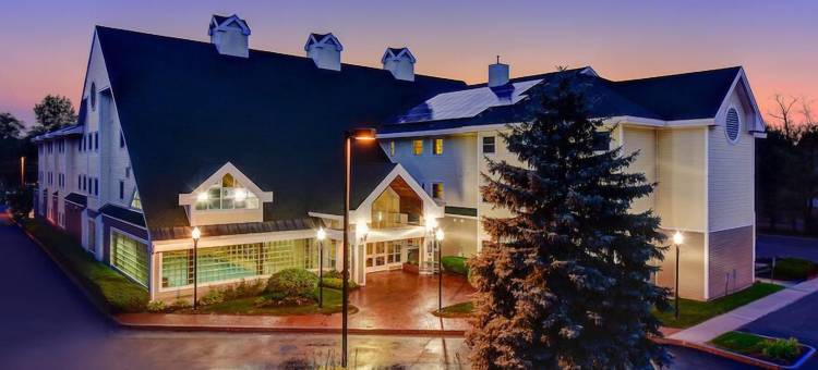 舒适酒店(Comfort Inn)图片