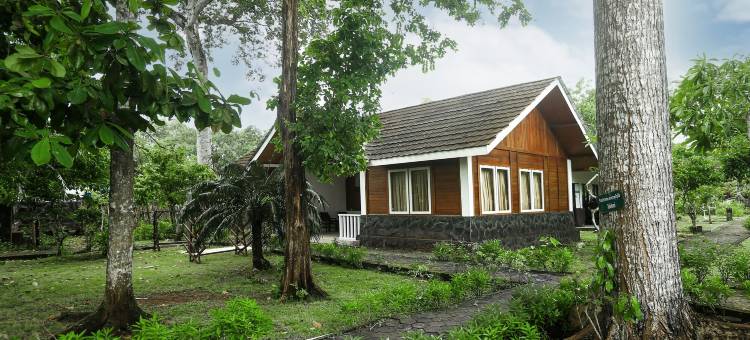 格兰德普伦库旅馆(Plengkung lodge G-land)图片