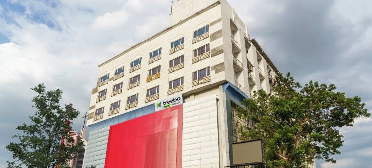 Treebo D Grand图片