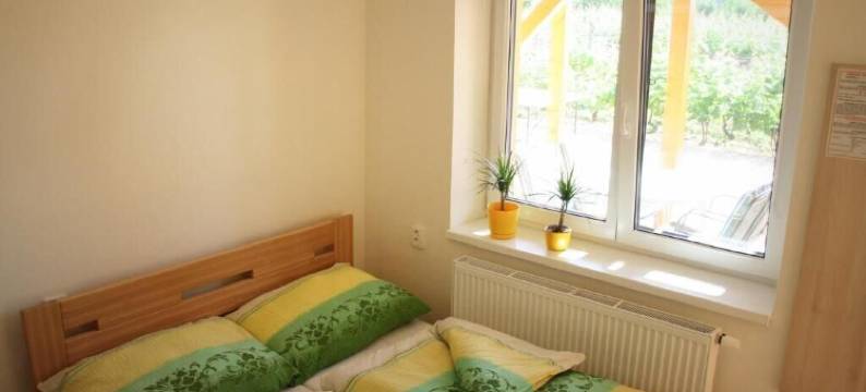 PENZION POD PALAVU 膳宿公寓(Penzion Pod Palavu)图片