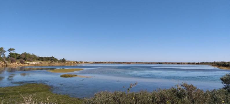 法鲁国际青年旅舍 - 青年西葡特色住宿 - 青年旅馆(HI Faro – Pousada de Juventude)图片