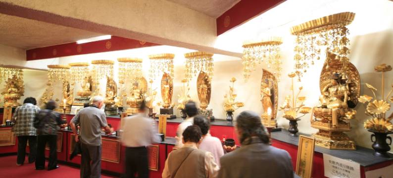 椿野酒店(Hotel Tsubakino)图片