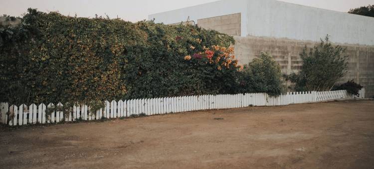 卡萨扎莫拉(Casa Zamora)图片