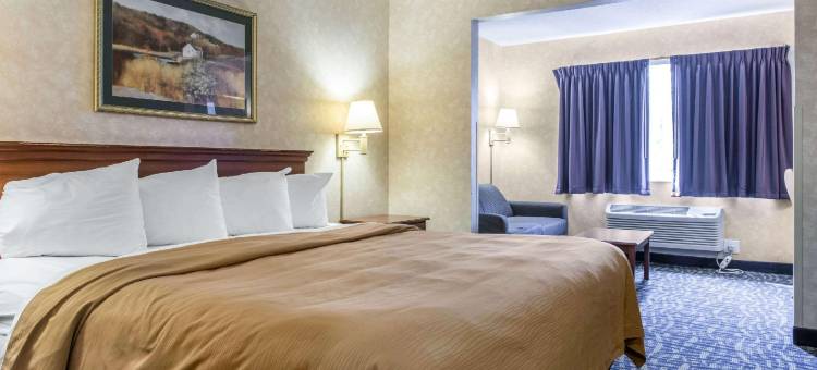 凯艺套房酒店(Quality Inn & Suites)图片