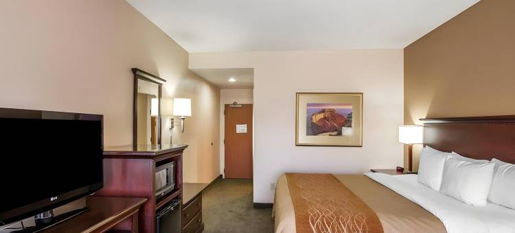 第51大道凤凰城10号州际公路西舒适酒店(Comfort Inn I-10 West at 51st Ave)图片