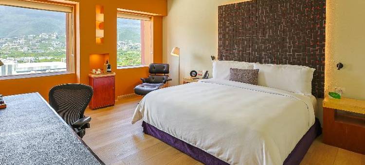 蒙特雷卡米诺里尔酒店(Camino Real Monterrey)图片