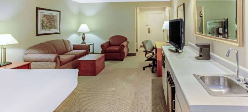 阿普尔顿学院大道拉昆塔温德姆套房酒店(La Quinta Inn & Suites by Wyndham Appleton College Avenue)图片