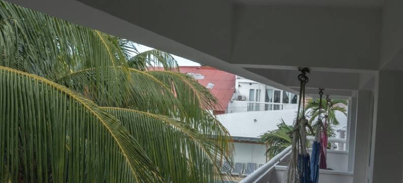 曼萨尼略德尔马三旗酒店(Hotel 3 Banderas Manzanillo del Mar)图片