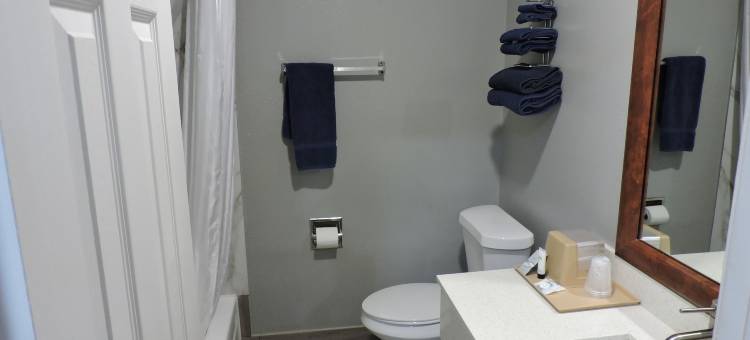 马车夫的旅馆及套房(Coachman's Inn & Suites)图片