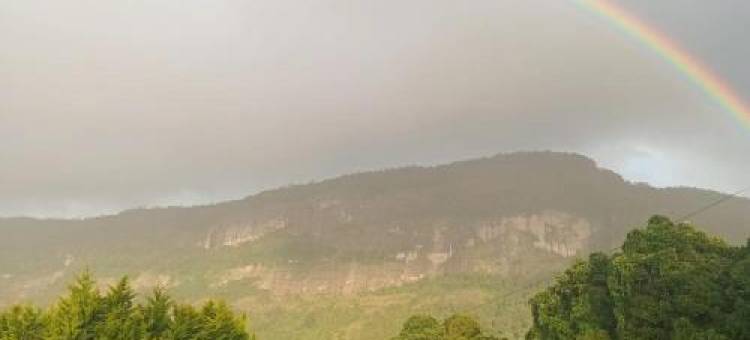 绍拉天堂度假村(Shola Heaven Resort)图片