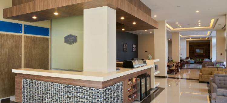 伊拉普阿托欢朋酒店(Hampton Inn by Hilton Irapuato)图片