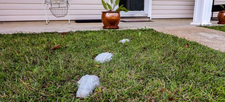 Near Fort Polk • Gameroom • Fire Pit • Golf • Beach图片