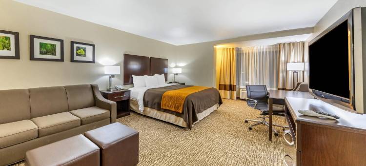 科尔顿舒适套房酒店(Comfort Inn & Suites)图片