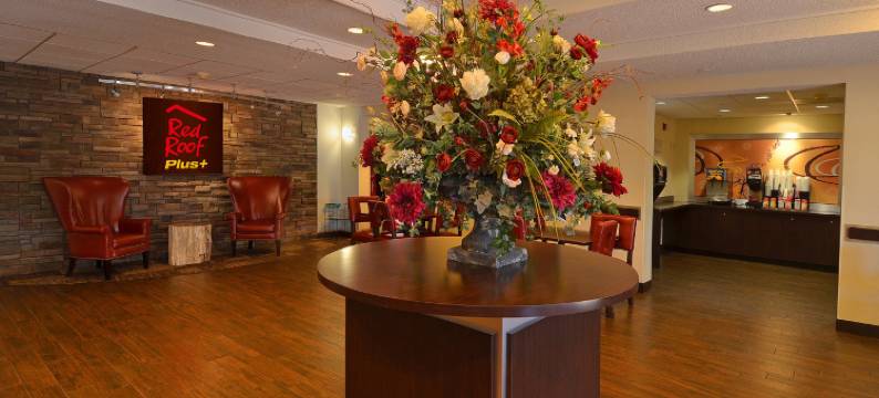 圣安东尼奥市区-河滨步道红顶PLUS+酒店(Red Roof PLUS+ San Antonio Downtown - Riverwalk)图片