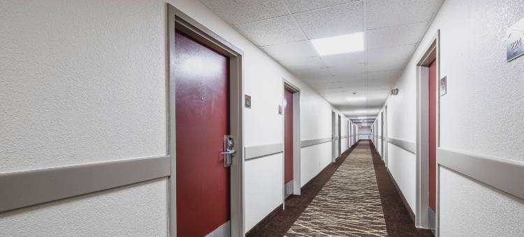 罗阿诺克阿皮兹红顶酒店(Red Roof Inn Roanoke Rapids)图片