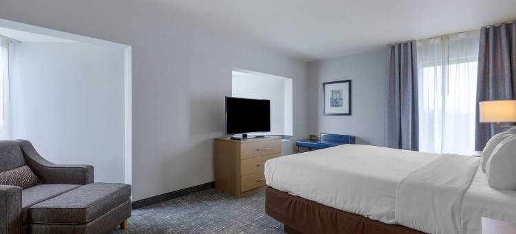 亚历山德里亚西部舒适酒店及套房(Comfort Inn & Suites Alexandria West)图片