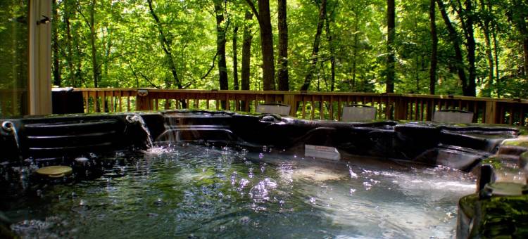 风景独处三卧室小木屋(Scenic Solitude 3 Bedroom Cabin)图片