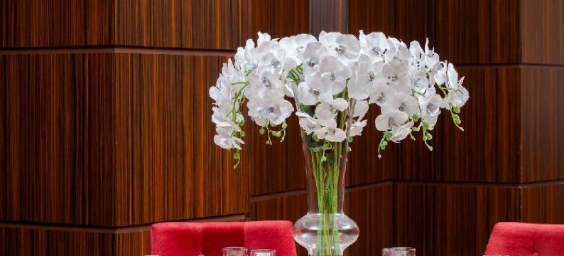 RIN机场酒店(Rin Airport Hotel)图片