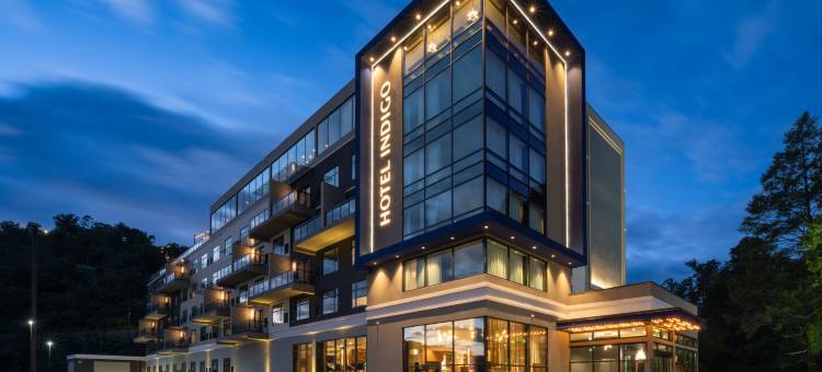 加德林堡市中心英迪格酒店(洲际酒店集团)(Hotel Indigo Gatlinburg Downtown by IHG)图片
