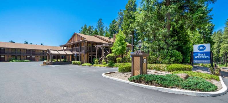 驿站马车贝斯特韦斯特酒店(Best Western Stagecoach Inn)图片