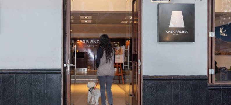 安迪纳阿雷基帕广场精选酒店(Casa Andina Select Arequipa Plaza)图片