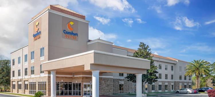 布伦瑞克舒适酒店(Comfort Suites Brunswick)图片