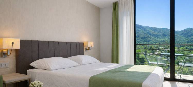 内西酒店洛迦诺(Hotel Nessi Locarno)图片
