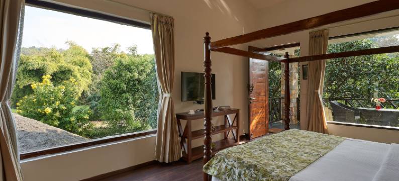 生命之树Vanvilas Riveredge(Tree of Life Vanvilas Riveredge Corbett)图片